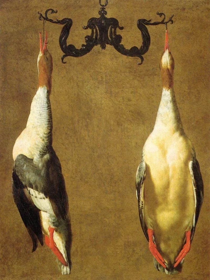 Due alzavole impiccate - Galleria degli Uffizi, Firenze